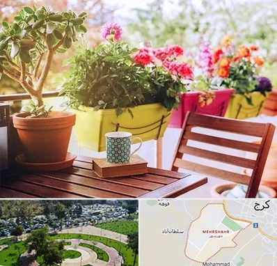 گیاه آپارتمانی در مهرشهر کرج 