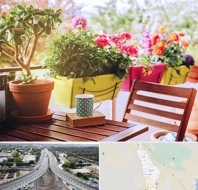 گیاه آپارتمانی در اندیمشک