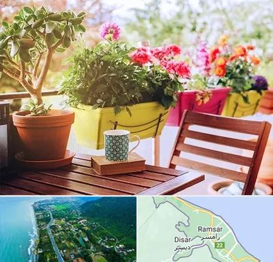 گیاه آپارتمانی در رامسر