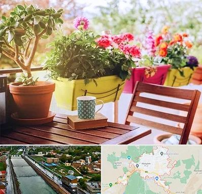 گیاه آپارتمانی در مراغه