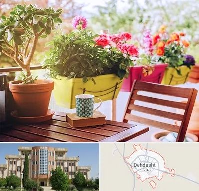 گیاه آپارتمانی در دهدشت