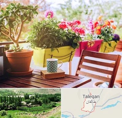 گیاه آپارتمانی در طالقان