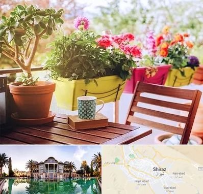 گیاه آپارتمانی در شیراز