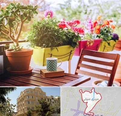 گیاه آپارتمانی در مینی سیتی