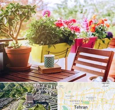 گیاه آپارتمانی در شمال تهران 