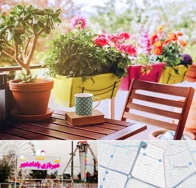 گیاه آپارتمانی در پادادشهر اهواز