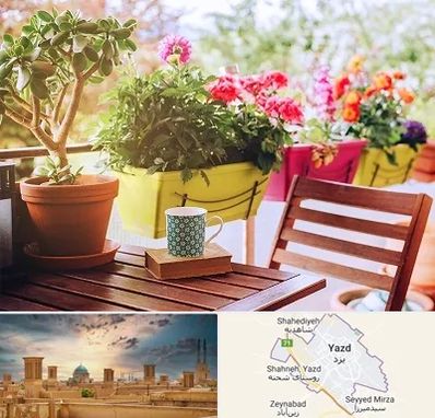 گیاه آپارتمانی در یزد