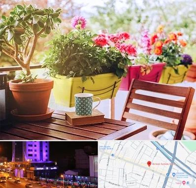 گیاه آپارتمانی در آبرسان تبریز