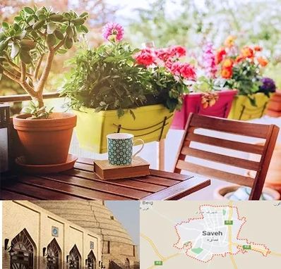 گیاه آپارتمانی در ساوه