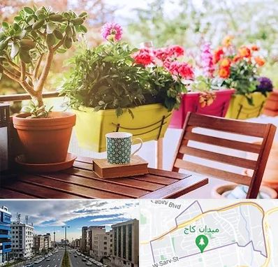 گیاه آپارتمانی در سعادت آباد 