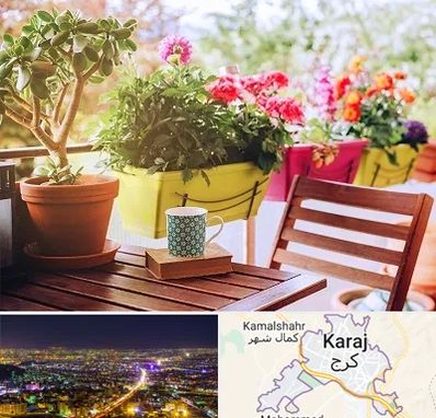 گیاه آپارتمانی در کرج