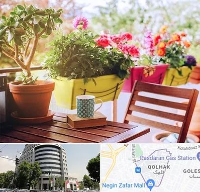 گیاه آپارتمانی در قلهک 