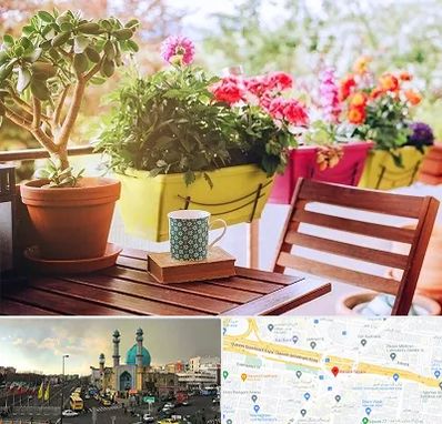 گیاه آپارتمانی در رسالت 