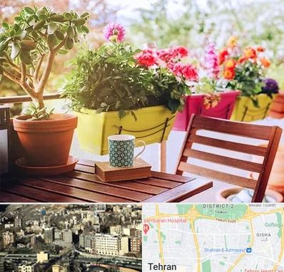 گیاه آپارتمانی در مرزداران 