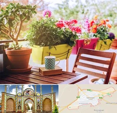 گیاه آپارتمانی در سمنان