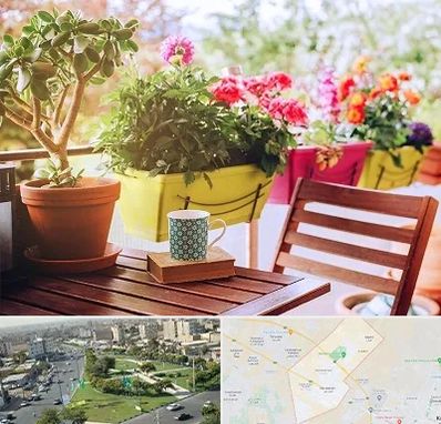 گیاه آپارتمانی در کمال شهر کرج 