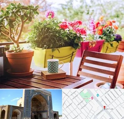 گیاه آپارتمانی در مصلی مشهد