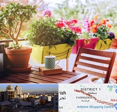 گیاه آپارتمانی در فرمانیه 