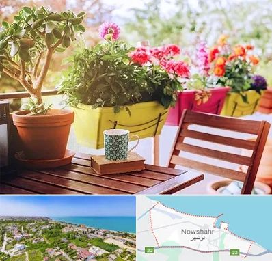 گیاه آپارتمانی در نوشهر