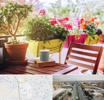 گیاه آپارتمانی در حصارک کرج