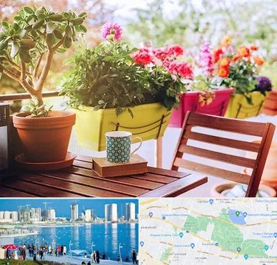 گیاه آپارتمانی در چیتگر 