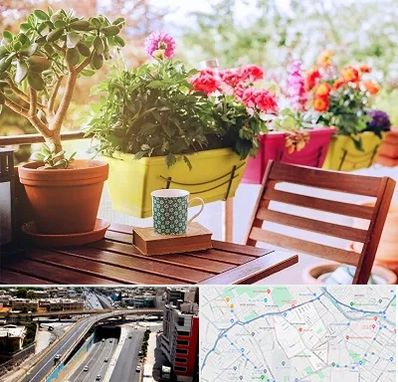 گیاه آپارتمانی در ستارخان شیراز