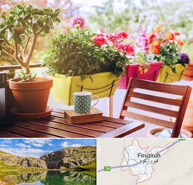 گیاه آپارتمانی در فیروزکوه