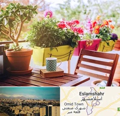 گیاه آپارتمانی در اسلامشهر