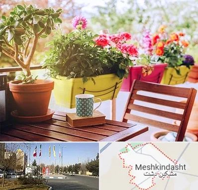 گیاه آپارتمانی در مشکین دشت