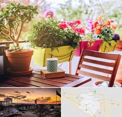 گیاه آپارتمانی در قوچان