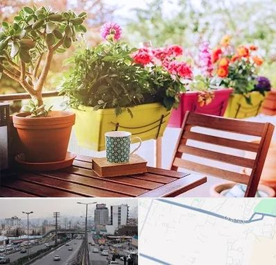 گیاه آپارتمانی در بلوار ارتش