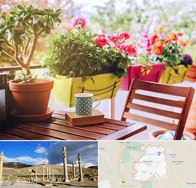 گیاه آپارتمانی در مرودشت