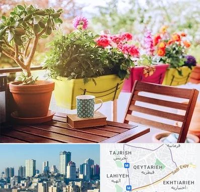 گیاه آپارتمانی در قیطریه 