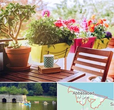 گیاه آپارتمانی در عباس آباد