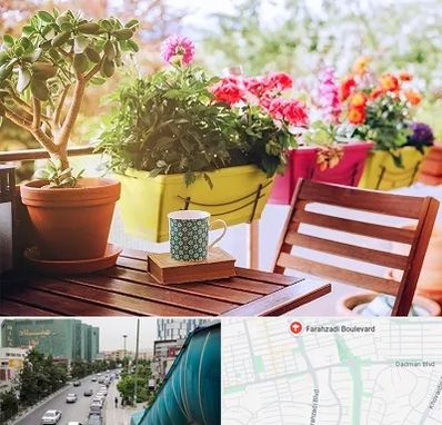 گیاه آپارتمانی در بلوار فرحزادی