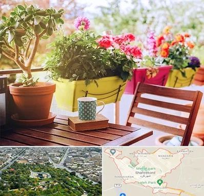 گیاه آپارتمانی در شهرکرد