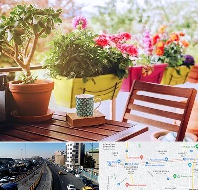 گیاه آپارتمانی در پیروزی 