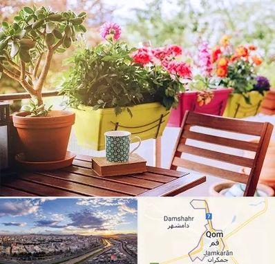 گیاه آپارتمانی در قم