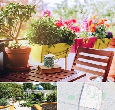 گیاه آپارتمانی در باغمیشه تبریز