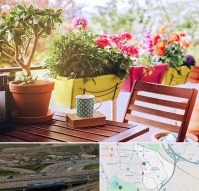 گیاه آپارتمانی در یاغچیان تبریز