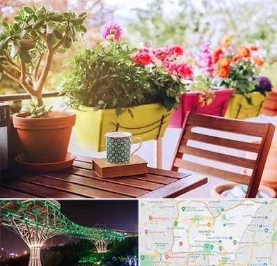 گیاه آپارتمانی در منطقه 3 تهران 