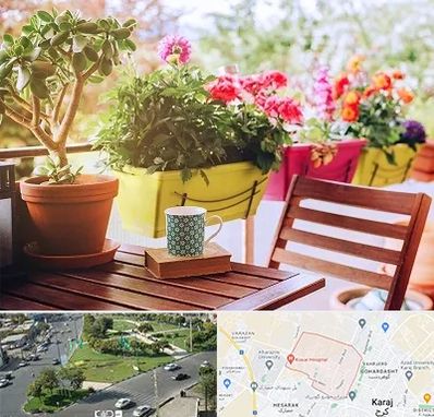 گیاه آپارتمانی در شاهین ویلا کرج