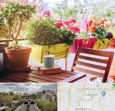 گیاه آپارتمانی در یوسف آباد 