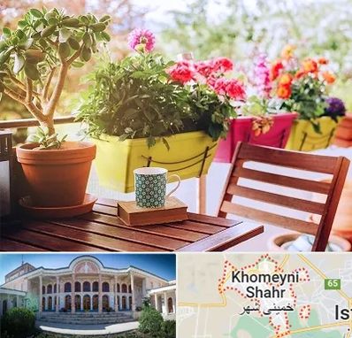 گیاه آپارتمانی در خمینی شهر