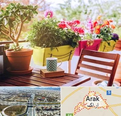 گیاه آپارتمانی در اراک