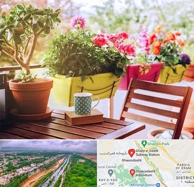 گیاه آپارتمانی در قصرالدشت شیراز