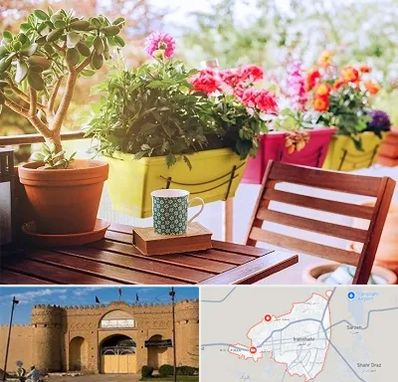 گیاه آپارتمانی در ایرانشهر