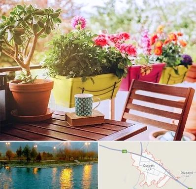 گیاه آپارتمانی در قروه