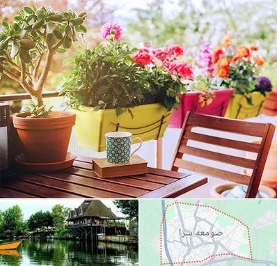 گیاه آپارتمانی در صومعه سرا