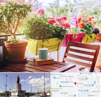 گیاه آپارتمانی در کارگر جنوبی 